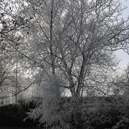 D'hotes Murielle Bed & Breakfast