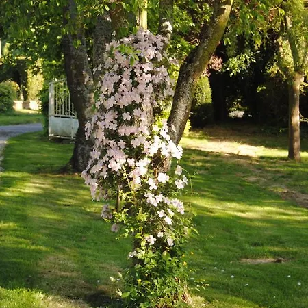 Bed & Breakfast D'hotes Murielle