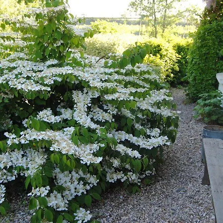 Bed and Breakfast D'hotes Murielle 3*