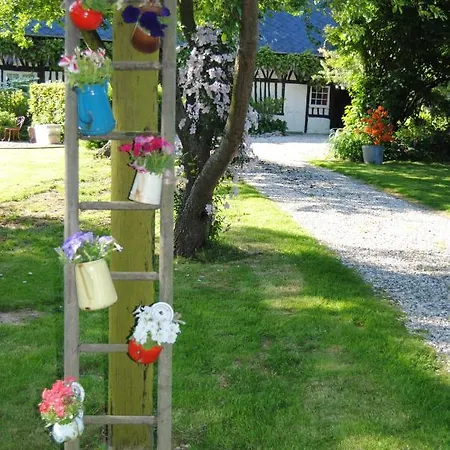 D'hotes Murielle Hattenville
