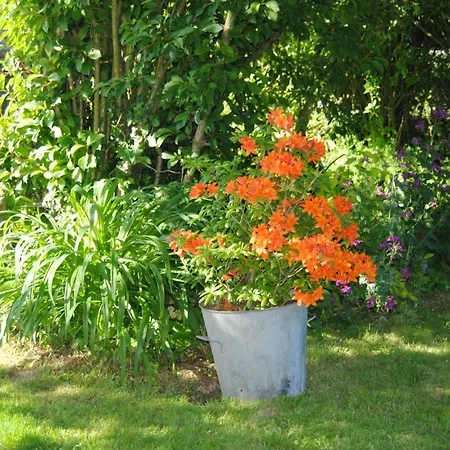 D'hotes Murielle Bed & Breakfast Hattenville