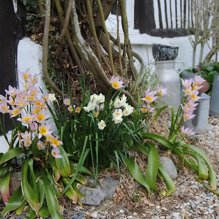 Bed and Breakfast D'hotes Murielle 3*