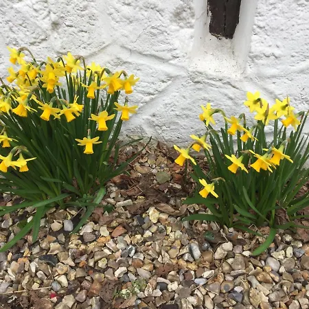 Bed & Breakfast D'hotes Murielle Hattenville