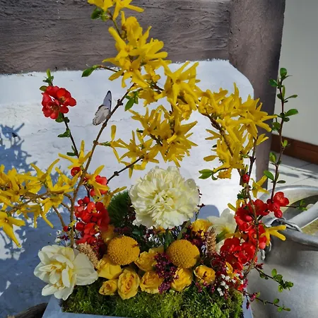 Bed & Breakfast D'hotes Murielle Hattenville